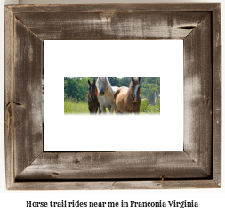 horse trail rides near me in Franconia, Virginia